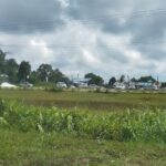 Konsortium Memandu Kota Samarahan Sdn Bhd - Kota Samarahan 8 AC9h4nrdreoNYzDl6MpGW4VjDShbxkrHpeSgRmG1JROWDVLh6adUZNBcoO2DlHyWIN1ZQzWH5bAFoL85iro19stvcgadBUtFTEJFTx4urJzb2io8lOxX6YmTBnkBldsA6XtNFix9Mp0vw408 h906 k no