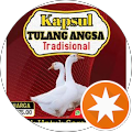 Wan zamri Wan Mat