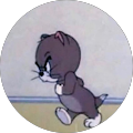 tom jerry tom jerry
