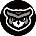 OWL Gaming