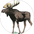 La Moose