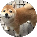 C C